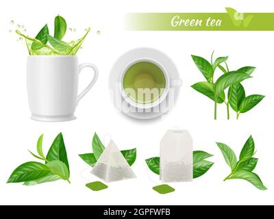 Hot tea realistic. Green leaves cups water splashes aromatic green tea tags vector advertizing set Stock Vector