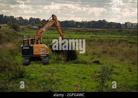 A  digger maintaining drainage ditches on low-lying grazing marsh on the Norfolk Broads at Buckenham Marshes Stock Photo