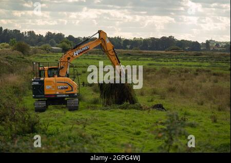 A  digger maintaining drainage ditches on low-lying grazing marsh on the Norfolk Broads at Buckenham Marshes Stock Photo