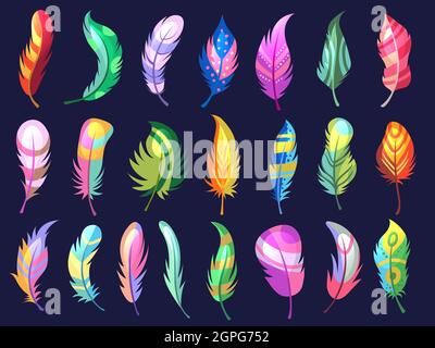 Beauty feathers. Colored birds texturized soft feathers tribal ornamental illustrations Stock Vector