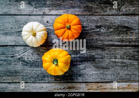 Three decorative mini pumpkins on a rustic wooden background. Stock Photo