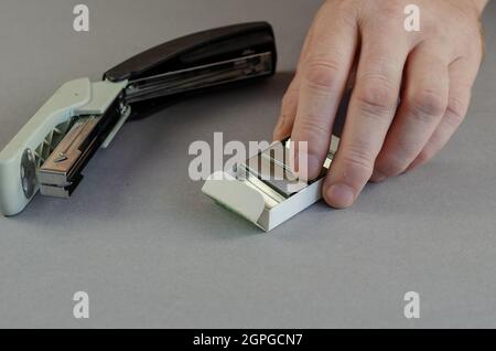 Hand stapler and box of staples against gray background. Man pul Stock Photo