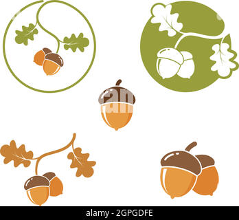 oak acorn vector illustration design Stock Vector