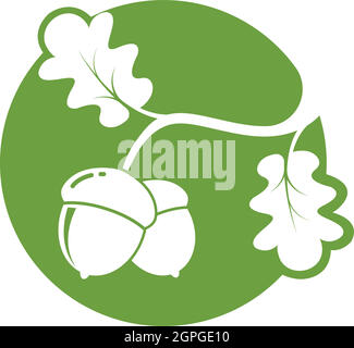 oak acorn vector illustration design Stock Vector