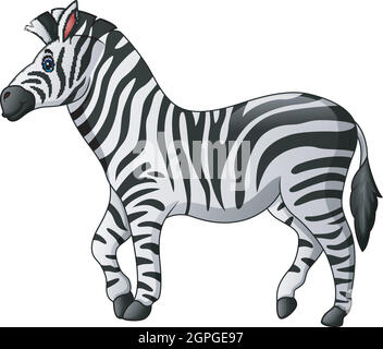 Vector illustration of Cute zebra cartoon Stock Vector