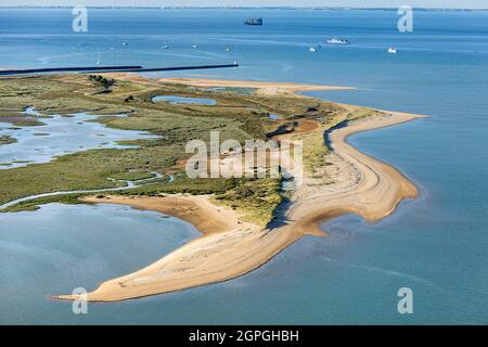 France, Charente Maritime, Saint Pierre d'Oleron, la Perrotine sandbank before Fort Boyard (aerial view) Stock Photo