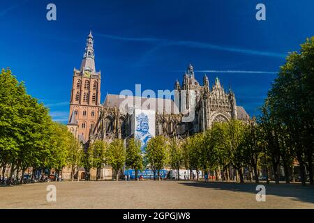 Gothic Saint John's cathedral in Den Bosch, Netherlands Stock Photo