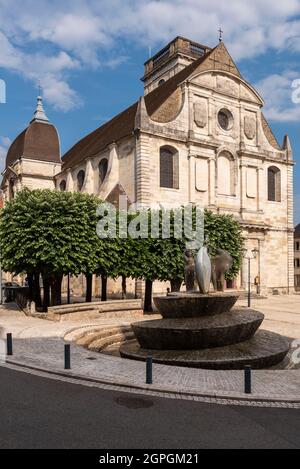 France, Haute Saone, Vesoul, Saint Georges church Stock Photo