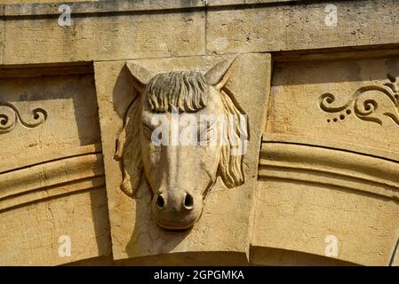 France, Doubs, Le Russey, square, city hall dated 19th century, old covered market and justice of the peace, facade, horse head Stock Photo