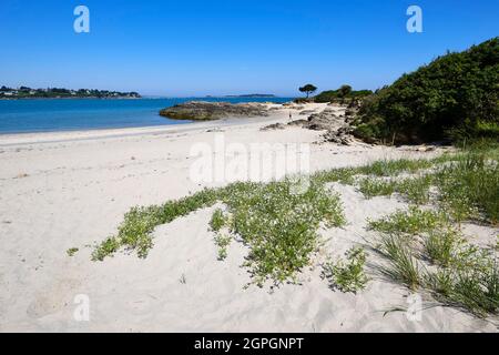 France, Ile et Vilaine, Cote d'Emeraude (Emerald Coast), Lancieux, beach of Briantais Stock Photo