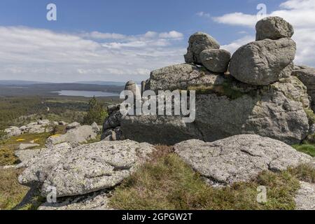 France, Lozere, Rieutort-de-Randon, Charpal lake seen from the Truc de Fortunio, highest point of the mountains of Margeride Stock Photo
