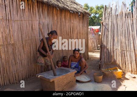 Madagascar, Menabe region, Bemaraha massif, the Tsiribihina river, the pounding of rice Stock Photo