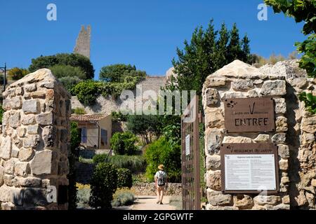 France, Var, Ollioules, under the castle, the Vintimille garden, a former medieval garden Stock Photo