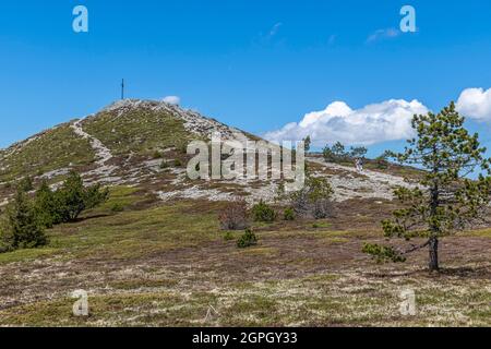 France, Ardeche, Monts d'Ardeche Regional Natural Park, Mezenc Massif, Haute Vallee de la Saliouse (Saliouse Upper Valley), top of Mont Mezenc (1749m), Vivarais, Sucs area Stock Photo