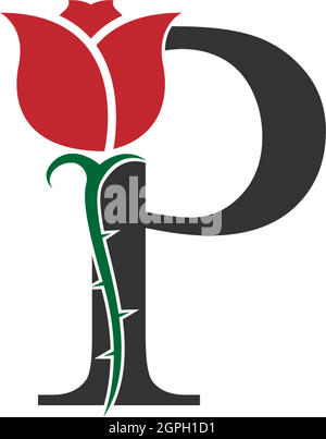 Letter P logo icon with rose design vector Stock Vector