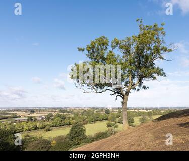 Crick, Northamptonshire, UK, September 29th 2021: A lone tree stands on Crack's Hill, an isolated hill in the Northamptonshire countryside. Stock Photo