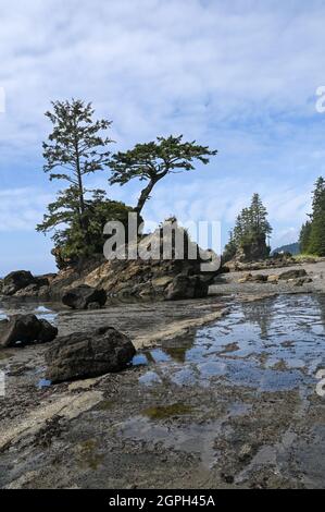 Rock formations and distant lighthouse on beach of West Coast Trail, Vancouver Island, Canada. Stock Photo