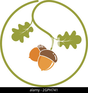 oak acorn vector illustration design Stock Vector