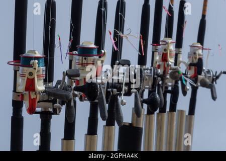 A Line Of Ten Hand Fishing Rods On A Cornish Boat In St. Ives Harbour Harbor - UK Stock Photo