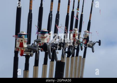 A Line Of Ten Hand Fishing Rods On A Cornish Boat In St. Ives Harbour Harbor - UK Stock Photo