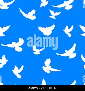 Pigeon pattern, pigeon realistic, blue and white, pattern for decoration, packaging and printing Stock Vector