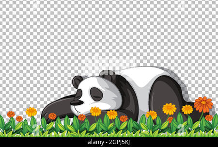 Panda bear laying on green grass on transparent background illustration Stock Vector