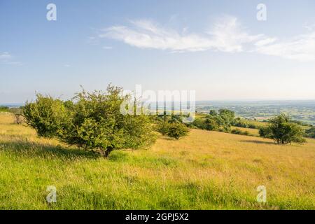 Looking across the Somerset moors towards Glastonbury from Deerleap on the Mendip Hills Stock Photo