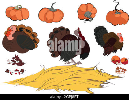 Thanksgiving day card. Illustration and sketches Stock Vector
