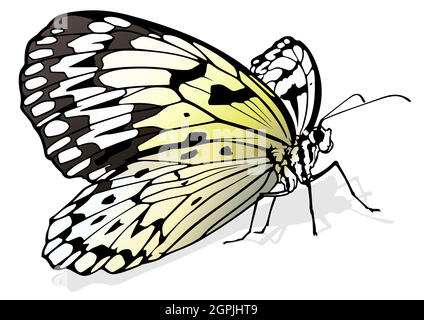 Paper Kite Butterfly Stock Vector