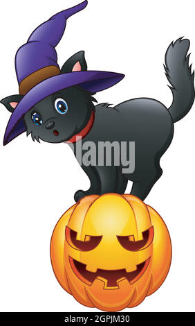 Black cat standing on a pumpkin Stock Vector