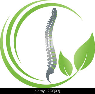 Spine and leaves, back, orthopedics, massage, logo Stock Vector
