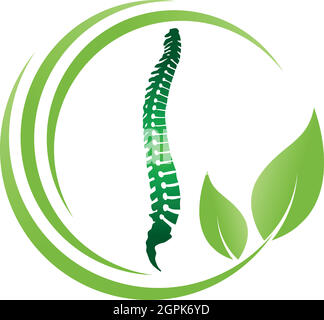 Spine and leaves, back, orthopedics, massage, logo Stock Vector