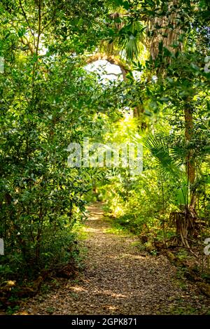 Nature walking path with blurry background bokeh Stock Photo