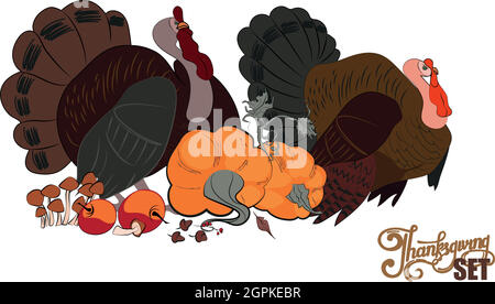 Two cute cartoon turkey birds in pilgrim hats Stock Vector
