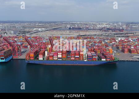 Cargo container vessels ships are backlogged at the Port of Long Beach, Wednesday, Sept. 29, 2021, in Long Beach, Calif.  = Stock Photo