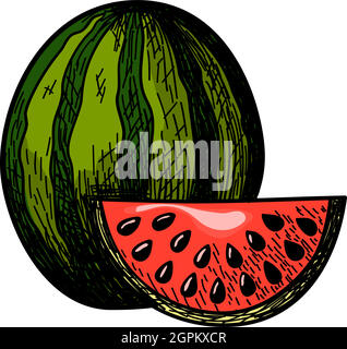 Icon Of Watermelon Stock Vector