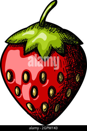 Icon Of Strawberry Stock Vector