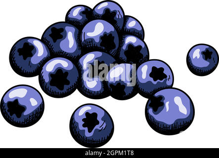 Icon Of Blueberry Stock Vector
