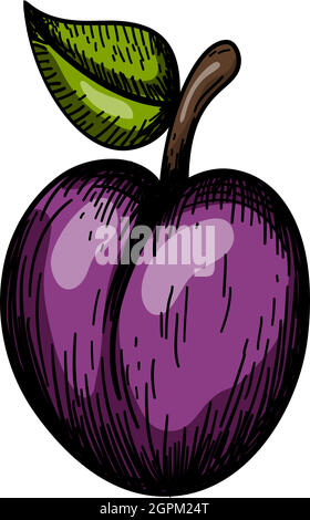 Icon Of Plum Stock Vector