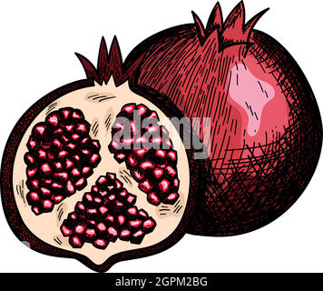 Icon Of Pomegranate Stock Vector