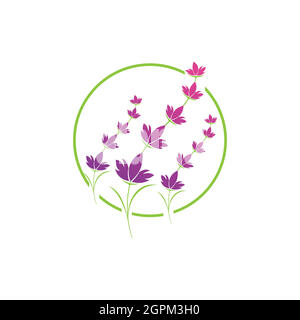 Lavender flower logo symbol template Stock Vector