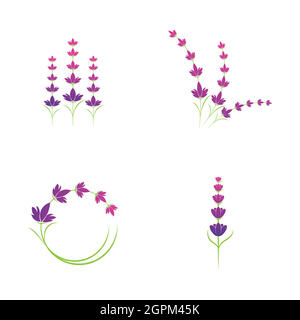 Lavender flower logo symbol template Stock Vector