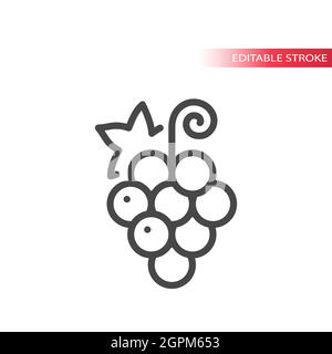 Grape line vector icon Stock Vector