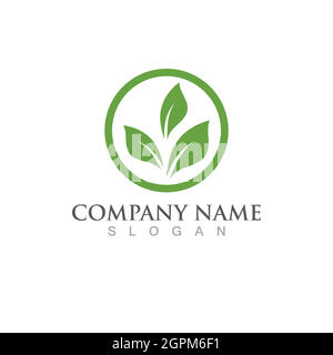 Logos of green Tree leaf ecology Stock Vector