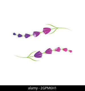 Lavender flower logo symbol template Stock Vector