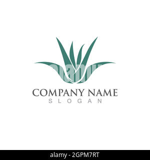 Aloe vera logo and symbol vector image Stock Vector
