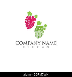 Grapes vector icon illustration design Stock Vector