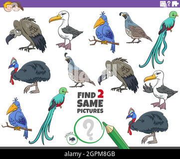 find two same cartoon birds educational game Stock Vector Image & Art ...