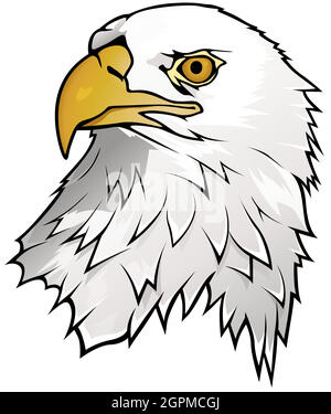 Bald Eagle Portrait Illustration Stock Vector