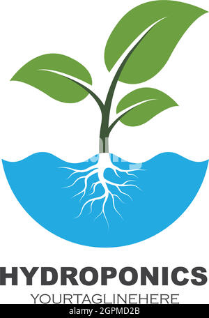 hydroponics logo vector illustration design Stock Vector